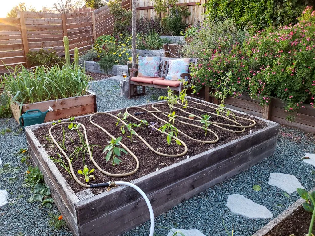 Vegetable Gardening on a Modern Homestead