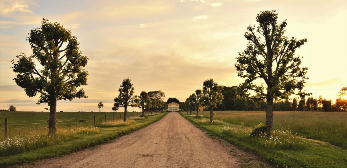 Buying Rural Land for Homesteading